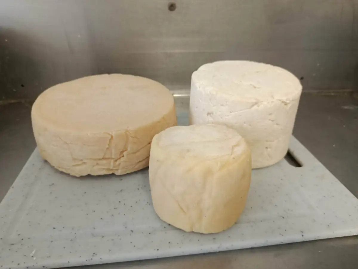 tomme de chevres